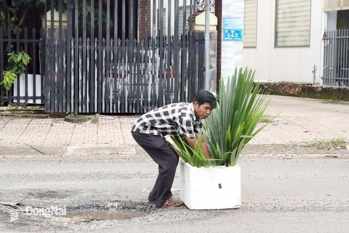 Chứng kiến nhiều vụ tai nạn xảy ra trên đường Nguyễn Huệ, anh Lê Tấn Nhật ở khu phố Bình Thiện, phường Bình Phước đã cắt cành lá cắm trong thùng xốp để cảnh báo nguy hiểm cho người tham gia giao thông. Ảnh: Quang Minh
