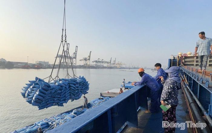 Hoạt động xuất khẩu gạo vẫn khá chậm.