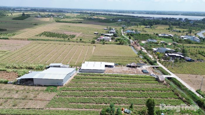Đồng Tháp có điều kiện thuận lợi để phát triển năng lượng tái tạo.