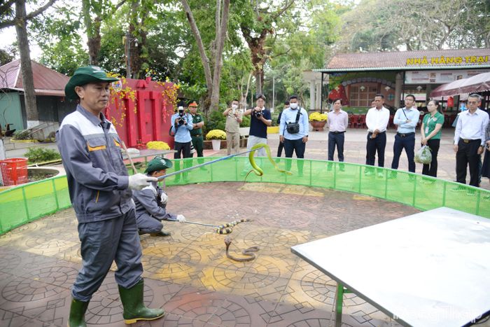 Trại rắn Đồng Tâm là điểm đến du lịch hấp dẫn tại tỉnh Đồng Tháp.