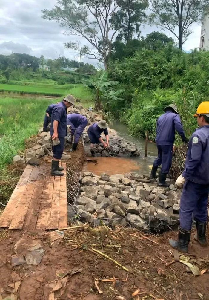 Ban Quản lý dịch vụ công Quy Nhơn thi công gia cố bờ mương dẫn nước tại khu vực thượng nguồn. Ảnh: Thúy Diện