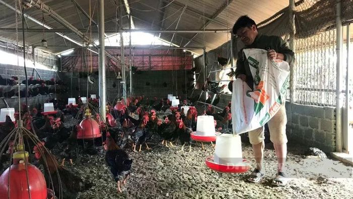 Học viên học kiến thức, kỹ năng chăn nuôi gà an toàn để đảm bảo chăn nuôi phát triển. Ảnh: ĐVCC