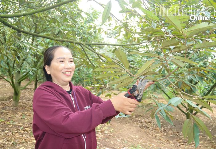 Bà Phạm Thị Bé chăm sóc sầu riêng chuẩn bị cho vụ mùa mới.