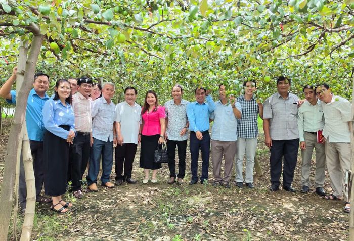 Đoàn công tác xã Diên Lạc tham quan, khảo sát mô hình trồng táo bao lưới trên địa bàn xã Phước Hậu.