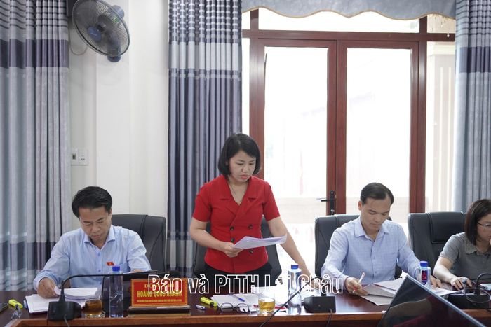 Thành viên đoàn giám sát phát biểu tại buổi giám sát.