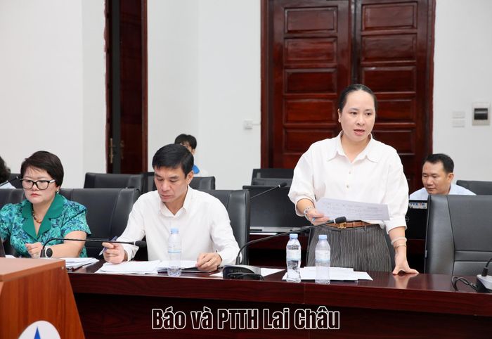 Lãnh đạo UBND phường Đoàn Kết, thành viên hội đồng phát biểu tại phiên họp.