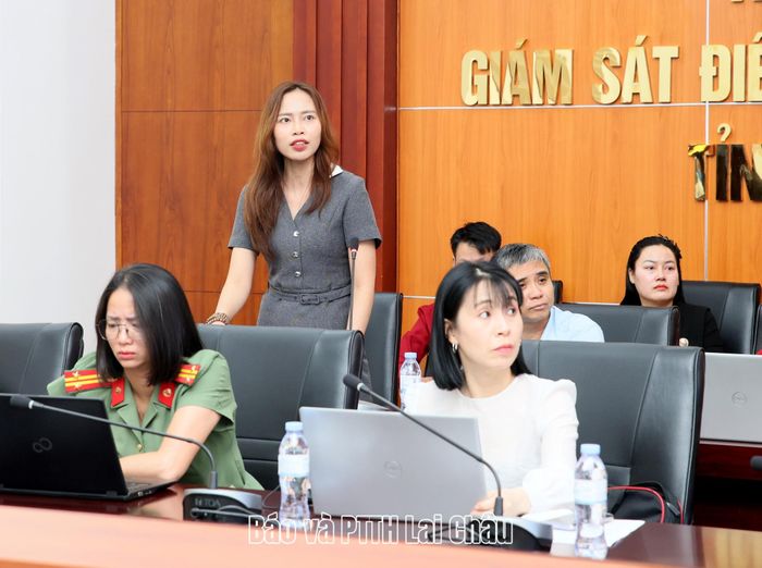 Đại diện Công ty cổ phần Đầu tư Kỷ Nguyên Mới Việt Nam báo cáo kết quả các mô hình thử nghiệm.