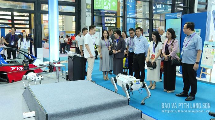Các đại biểu tham quan gian hàng tại Hội chợ Trung Quốc - ASEAN lần thứ 23 (thành phố Nam Ninh, Quảng Tây, Trung Quốc)