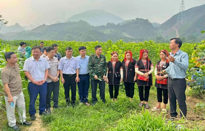 Xã Phúc Khánh phối hợp với doanh nghiệp tổ chức tập huấn, trao đổi kinh nghiệm trồng dâu nuôi tằm cho người dân.