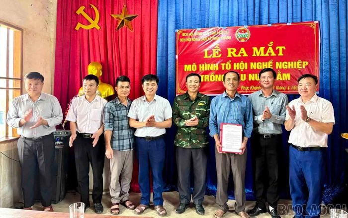 Ra mắt Tổ hội nghề nghiệp trồng dâu nuôi tằm xã Phúc Khánh, góp phần tập hợp các hộ cùng trao đổi kỹ thuật, liên kết sản xuất.
