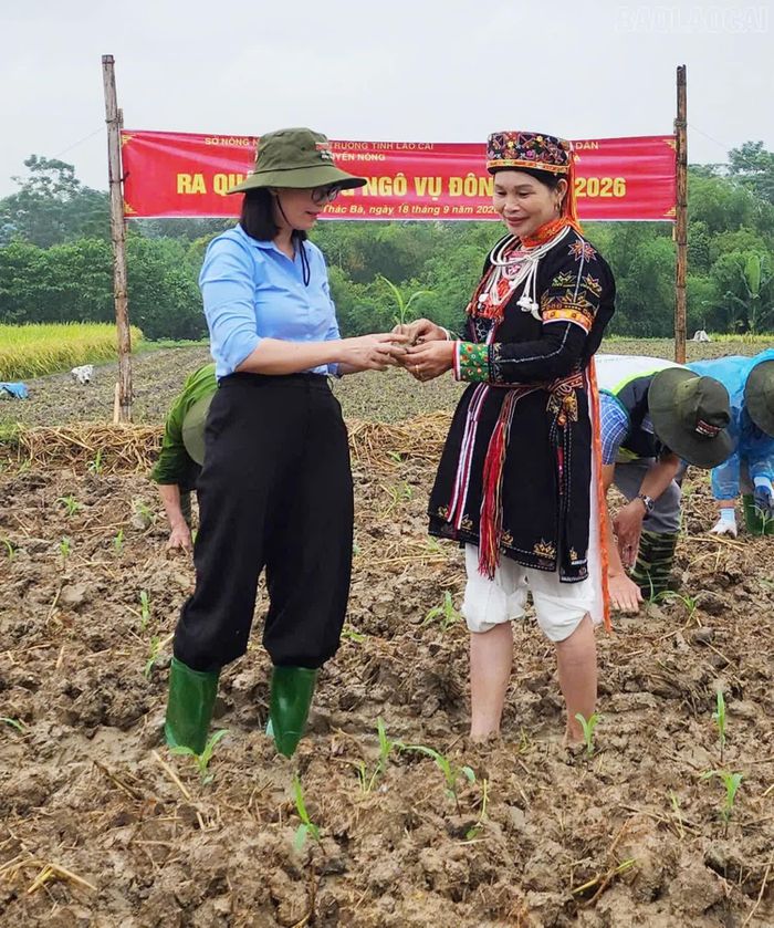 Cán bộ Trung tâm Khuyến nông tỉnh hướng dẫn kỹ thuật trồng cây vụ Đông cho người dân.