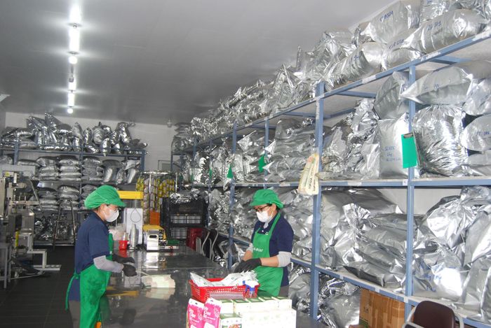 HTX phát huy hơn nữa vai trò tổ chức lại sản xuất, chế biến sản phẩm đảm bảo tiêu chuẩn chất lượng theo tín hiệu thị trường