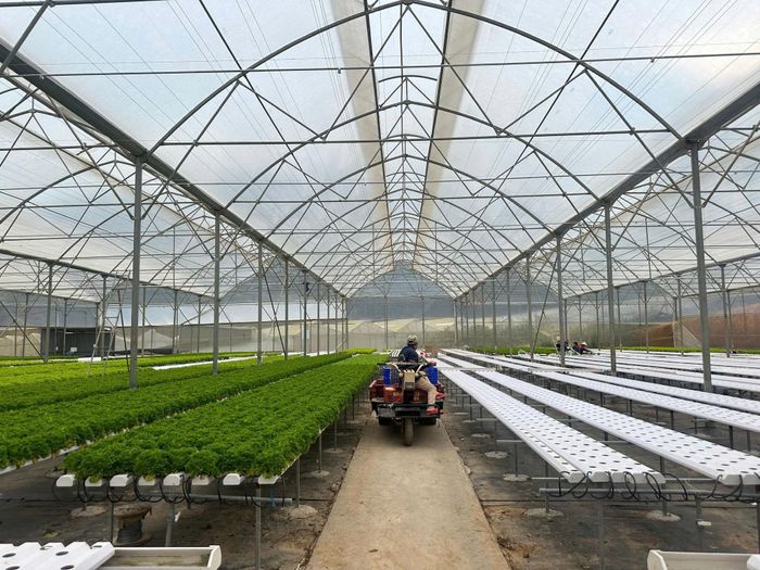Sản xuất nông nghiệp công nghệ cao ở Lâm Đồng