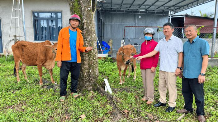 16 hộ nghèo ở xã Nhân Cơ vừa nhận 32 con bò giống từ chương trình Hỗ trợ sinh kế được xã triển khai từ vốn các chương trình mục tiêu quốc gia