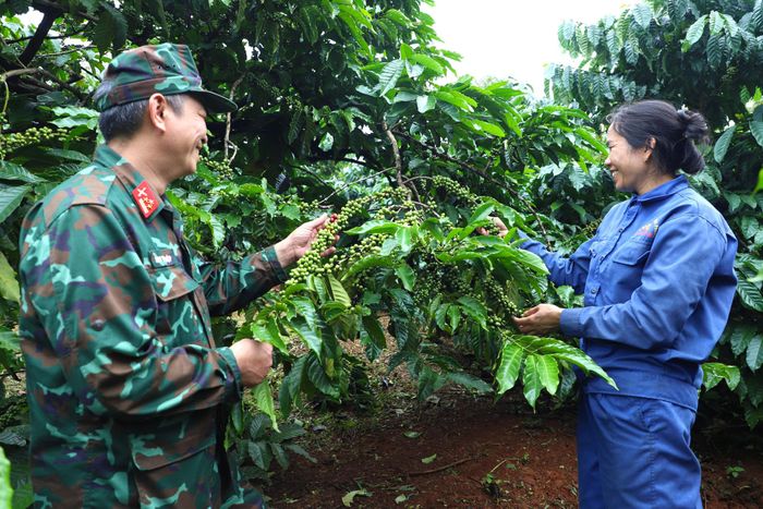 Từ hai bàn tay trắng, chị Cao Thị Trung từng bước mở rộng sản xuất, tạo thu nhập ổn định cho gia đình