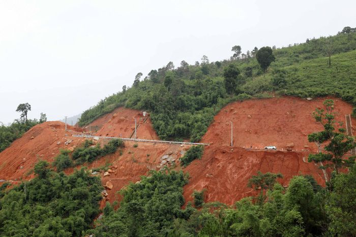 Nhiều cây xanh có nguy cơ ngã đổ trên các cung đường đèo tuyến ĐT722 nối Đà Lạt với khu vực Đam Rông cần phải xử lý để bảo đảm an toàn giao thông