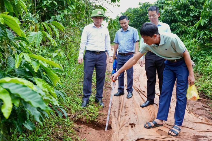 Một số vị trí đất rẫy của người dân phường Bắc Gia Nghĩa xuất hiện nứt, sụt lún cục bộ