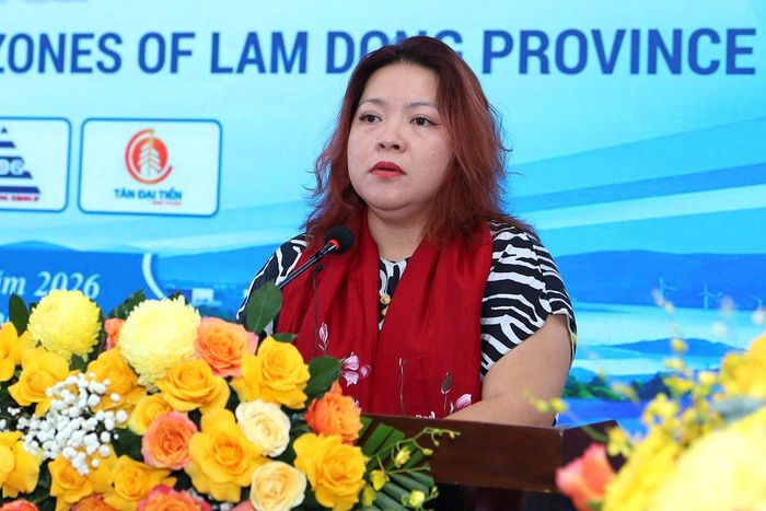 Bà Trần Thị Hải Yến, Phó Giám đốc Trung tâm Xúc tiến, Thông tin và hỗ trợ đầu tư - Cục Đầu tư nước ngoài, Bộ Tài chính phát biểu tại hội nghị