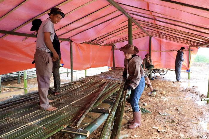 Các lán trại tạm được người dân dựng khẩn trương