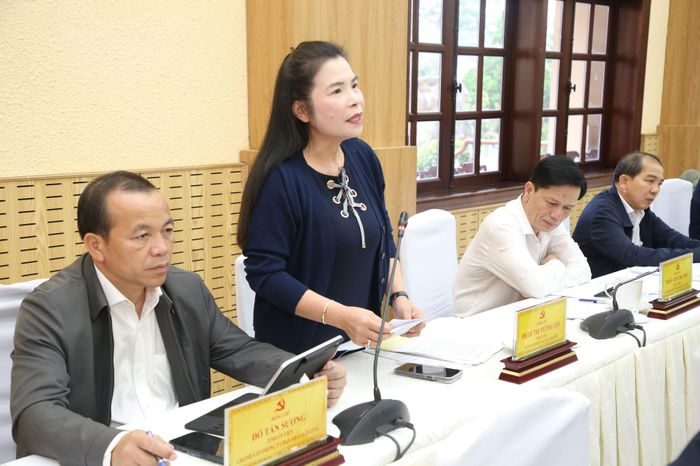 Tỉnh ủy viên, Trưởng Ban Kinh tế - Ngân sách HĐND tỉnh Phạm Thị Tường Vân nêu ý kiến tại hội nghị