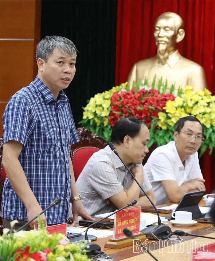 Đại diện Sở Nông nghiệp và Môi trường phát biểu tại cuộc họp.