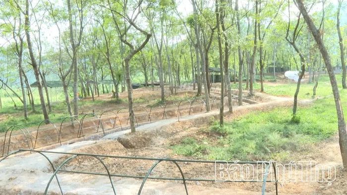 Hệ thống giao thông hào chuẩn bị sẵn sàng cho diễn tập động viên.