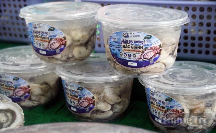 Sản phẩm hàu Bắc Gianh được thiết kế bao bì, nhãn mác, tích hợp mã QR truy xuất nguồn gốc - Ảnh: N.M