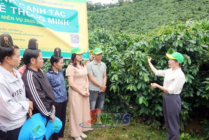 Các đại biểu và nông dân trao đổi về quy trình kỹ thuật thu hái, chăm sóc cà phê cuối vụ.