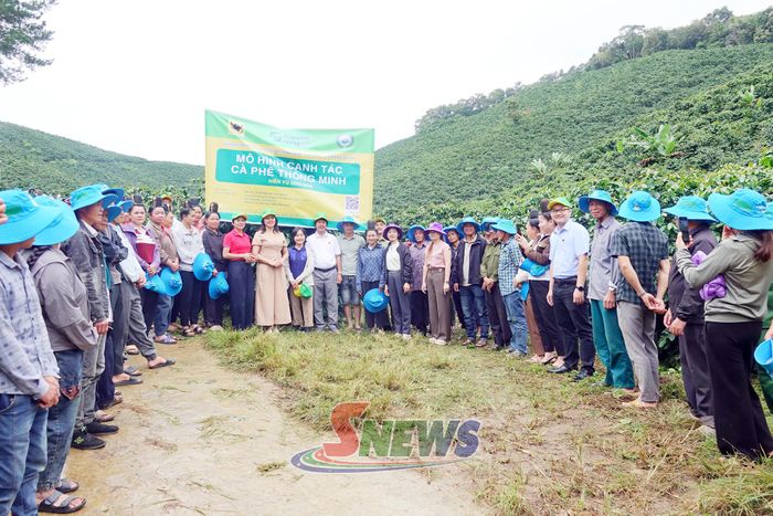 Tham quan thực tế một số vườn cà phê sử dụng phân bón Bình Điền tại bản Ót, xã Chiềng Mai.