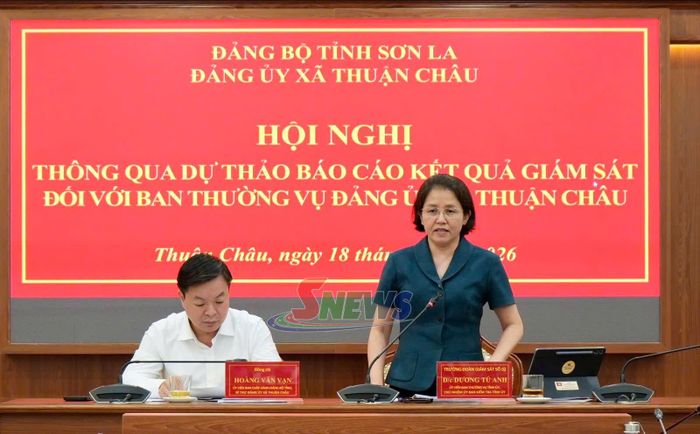 Đồng chí Dương Tú Anh phát biểu tại hội nghị.