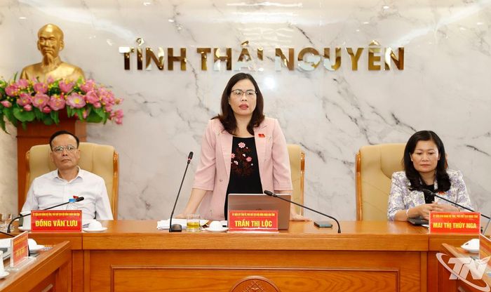 Đồng chí Trần Thị Lộc, Phó Chủ tịch HĐND tỉnh phát biểu tại Hội nghị.