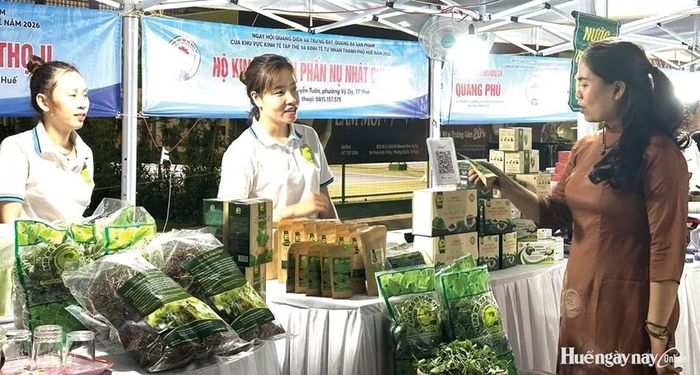 Tham gia các hội chợ, diễn đàn xúc tiến thương mại giúp các HTX mở rộng thị trường.