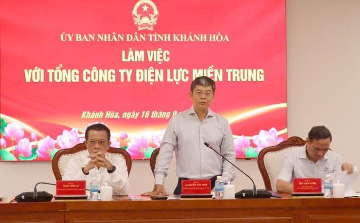Phó Tổng giám đốc EVN Nguyễn Tài Anh phát biểu tại buổi làm việc