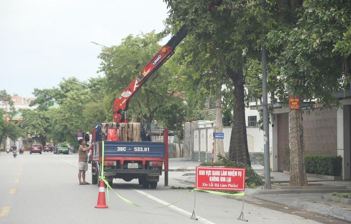 Công tác đảm bảo an toàn giao thông tại vị trí cắt tỉa được thực hiện nghiêm túc.