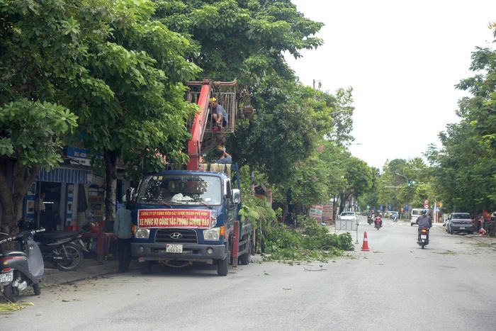 Công nhân cắt tỉa cây xanh trên đường Trương Văn Lĩnh.