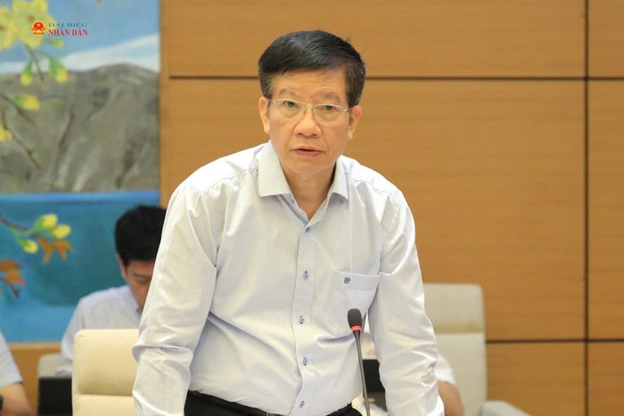 Phó Chủ nhiệm Văn phòng Quốc hội Phạm Đình Toản phát biểu tại cuộc họp. Ảnh: Hồ Long