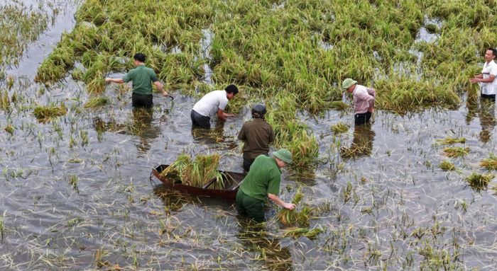 Ngày và đêm 18/9, nhiều khu vực trên cả nước có mưa rào và dông, cục bộ có nơi mưa to đến rất to. Ảnh minh họa