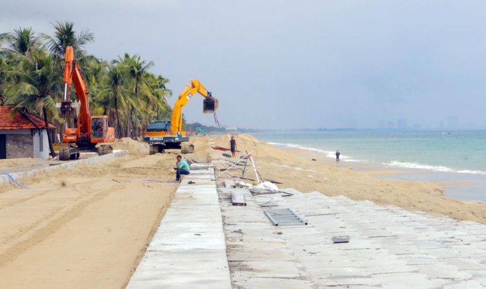 Từ một bờ biển nhiều năm oằn mình trước xói lở do biến đổi khí hậu, nước biểm xâm thực, bờ biển Cửa Đại đang từng bước hồi sinh.