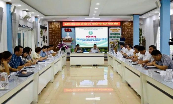  Quỹ Bảo vệ và Phát triển rừng tổ chức Hội nghị sơ kết 6 tháng đầu năm 2026. 