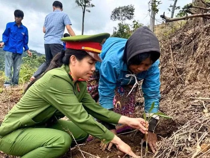 Công an Quảng Trị hỗ trợ bà con vùng đồng bào dân tộc ở biên giới trồng rừng phát triển kinh tế.