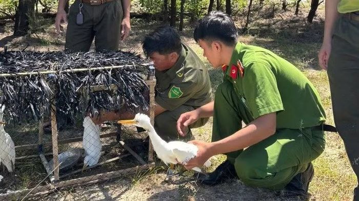 Công an tỉnh Quảng Trị nghiêm cấm việc săn bắt, mua bán, vận chuyển, tàng trữ, tiêu thụ trái phép động vật hoang dã.