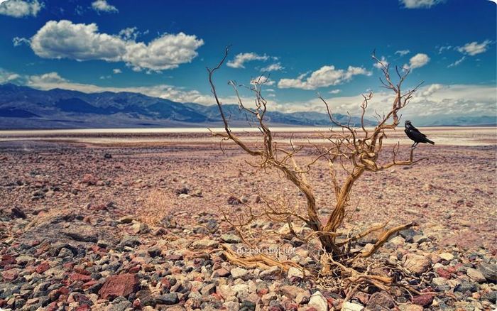 El Niño có khả năng đạt cường độ rất mạnh với xác suất rất cao. Ảnh minh họa: canva.