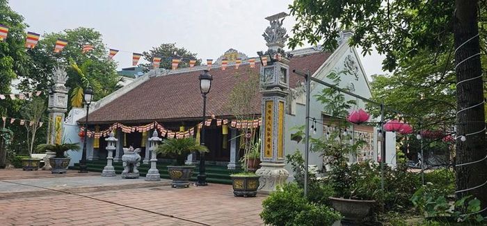 Ảnh tác giả cung cấp.
