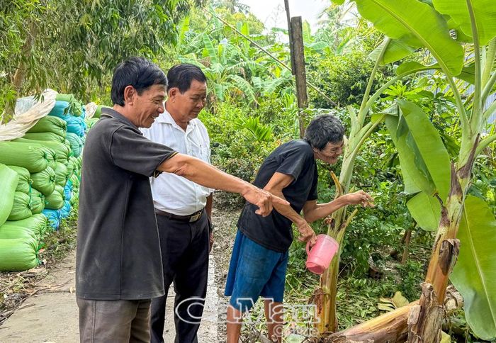 Ông Từ Văn Hân cùng em trai Từ Văn Vĩnh và ông Nguyễn Thành Út, Chủ tịch Hội Nạn nhân chất độc da cam/dioxin xã Khánh Bình (giữa), thăm ao cá của gia đình.