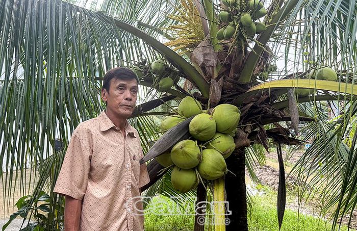 Ông Lê Văn Tổng phát triển kinh tế gia đình bằng nghề làm vườn, trồng cây ăn trái.