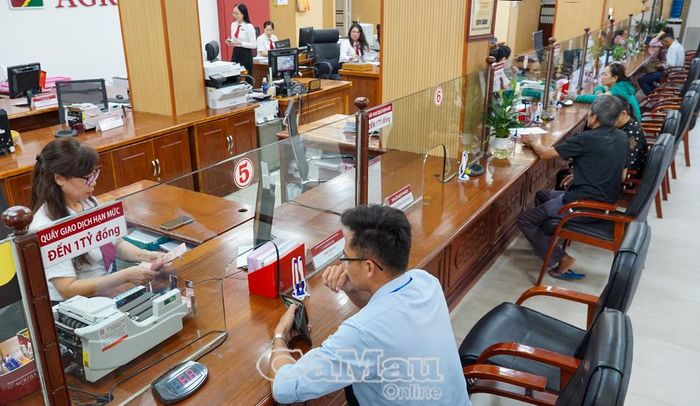  Agribank triển khai các chương trình tín dụng hỗ trợ DNNVV với tổng quy mô hàng trăm ngàn tỷ đồng.