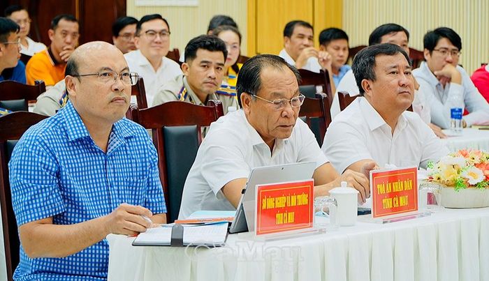 Đại diện c