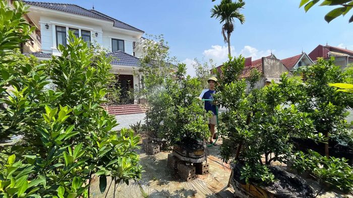 Về quê dường như là quyết định phù hợp nhất với gia đình anh.