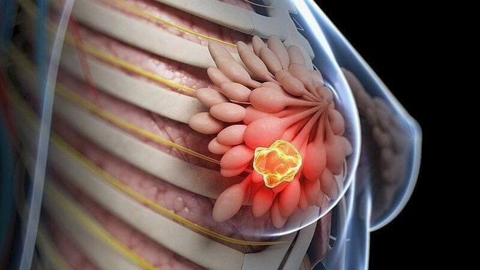 Cần tránh xa rượu bia, chất kích thích.