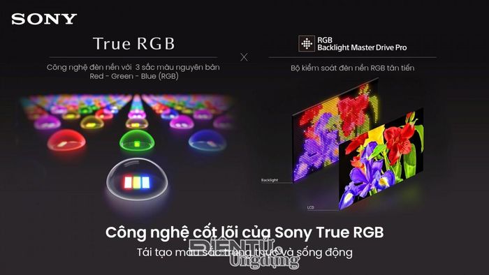 True RGB là công nghệ đã được Sony phát triển nhằm tăng cường khả năng kiểm soát màu sắc và độ sáng